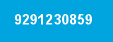 9291230859