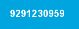9291230959