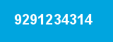 9291234314