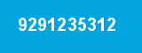 9291235312