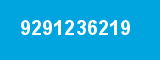 9291236219