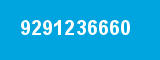 9291236660