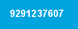 9291237607