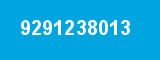 9291238013