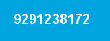 9291238172