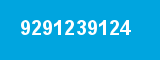 9291239124