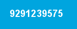 9291239575