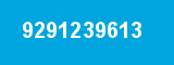 9291239613