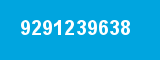 9291239638