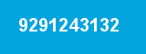 9291243132
