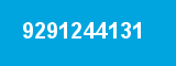 9291244131