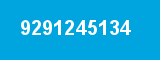 9291245134