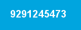 9291245473
