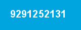 9291252131