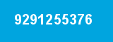 9291255376