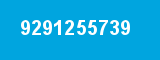 9291255739