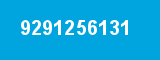 9291256131