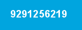 9291256219