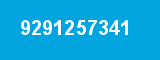 9291257341