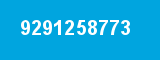 9291258773