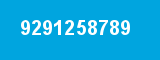 9291258789