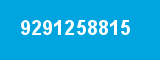 9291258815