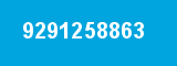 9291258863