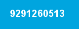 9291260513