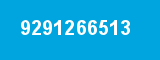 9291266513