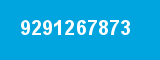 9291267873