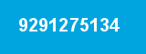 9291275134