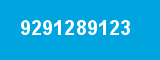 9291289123