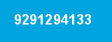 9291294133
