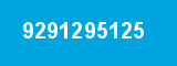 9291295125