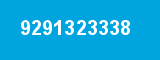 9291323338