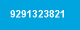 9291323821