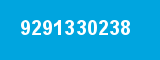 9291330238