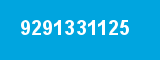 9291331125