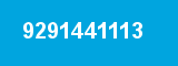 9291441113