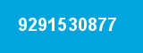 9291530877