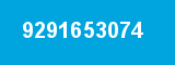 9291653074