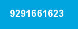 9291661623