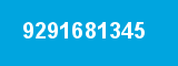 9291681345