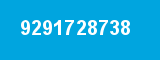 9291728738
