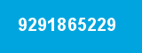 9291865229