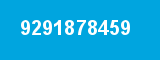 9291878459