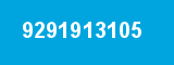 9291913105