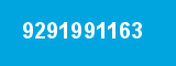 9291991163