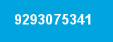 9293075341