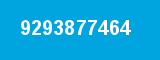 9293877464